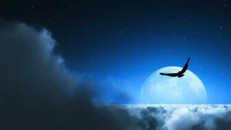 Fly Wallpaper Full HD Kdyqt5v 4usky
