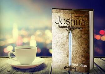 Joshua Background Check