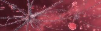 Wallpaper Bacteria Resident Evil