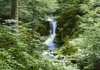 Tropical Waterfall Waterfalls Wall Wallpaper