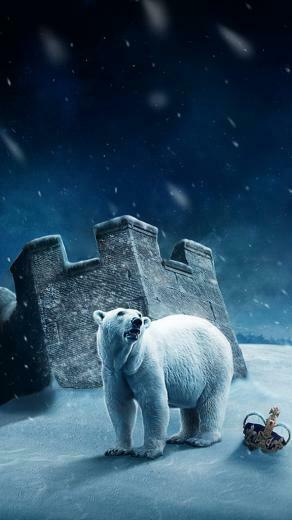 Polar Bear On The Snow Wallpaper iPhone