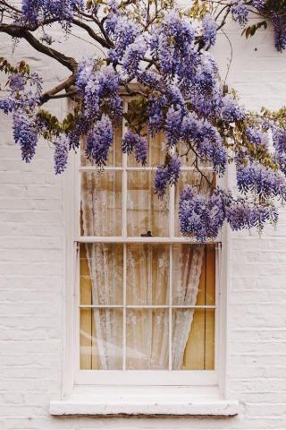 Gorgeous Cottagecore Aesthetic Wallpaper For Your iPhone In