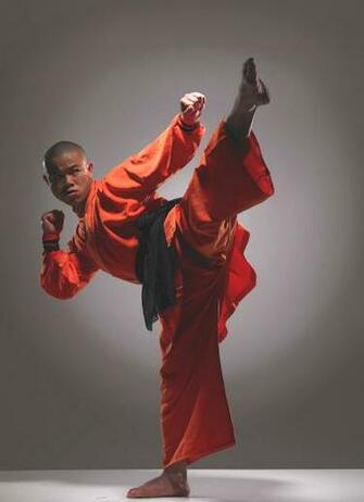 Shaolin Temple Martial Art Acts Videos And Wallpaper Video