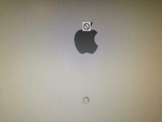 Desktop Mountain Lion Poop Picture Dowload
