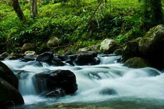 River Spring Scene Desktop Wallpaper