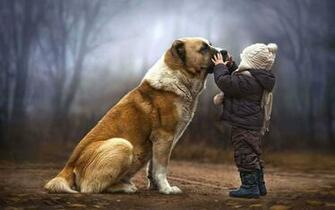 Animal Human Friendship Image Wallpaper