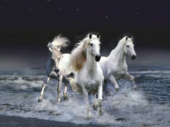 Horse Wallpaper Dark Fantasy