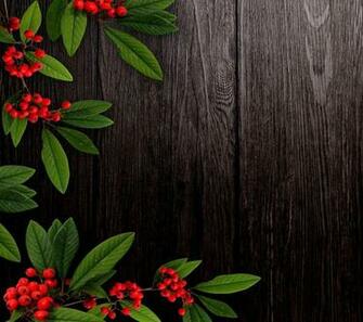 HD Wallpaper Appsapk
