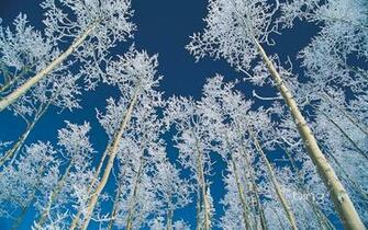 Bing Wallpaper And Screensaver Pack Winter Baixaki