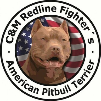 Red Nose Pitbull Wallpaper