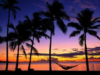 Tropical Island Sunset Photos