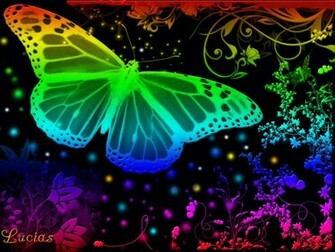 Couleur Papillon Wallpaper