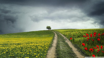 Country Roads Wallpaper