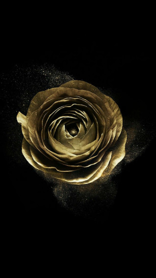 Black And Gold Aesthetic Wallpaper