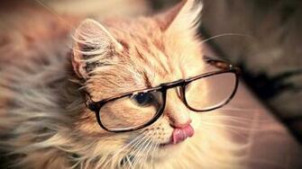 Cute Wallpaper Desktop Image