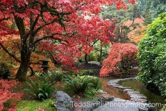 Japanese Garden Screensaver Pc Android iPhone And iPad Wallpaper