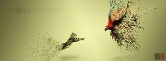 New Cover Photo For
