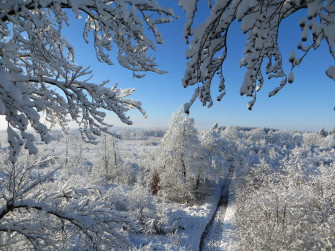 Snow Aesthetic Wallpaper