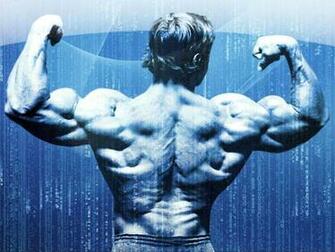 Arnold Schwarzenegger Conquer Wallpaper HD