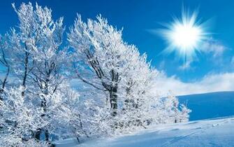 Winter Scenes HD Wallpaper