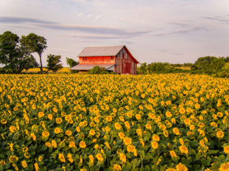 Most Beautiful Farm Wallpaper Of