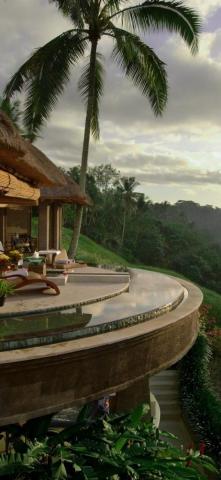 Tropical House Balcony Palm Trees Resort iPhone