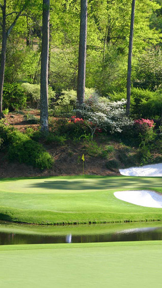 Augusta Wallpaper Group