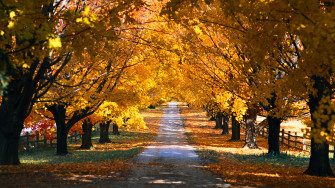 Country Roads Wallpaper