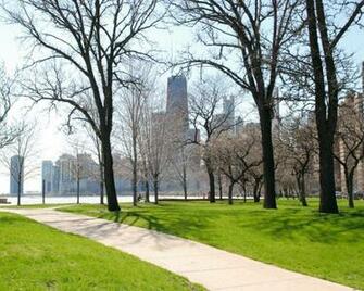 Chicago S Background Spring Time In The City