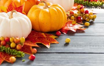 Wallpaper Autumn Leaves Background Board Colorful Pumpkin