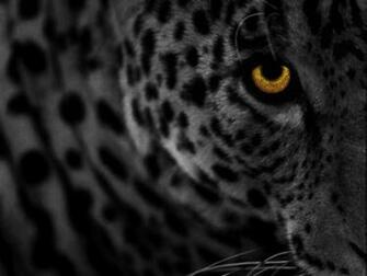 Leopard Skin