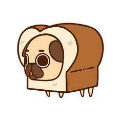 Cute Fat Pug Wallpaper Animated Google Search