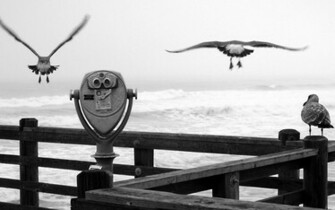 Best Wallpaper Collection Black And White