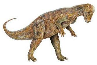 Pachycephalosaurus Pictures Facts The Dinosaur Database