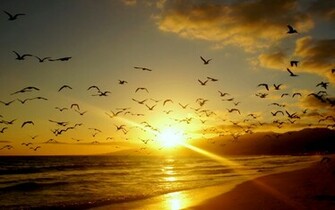 Sunset Computer Wallpaper Desktop Background Id