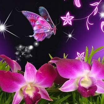 3d Butterfly Ma Screenshot Thumbnail