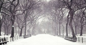 Winter Snow Screensaver Screensavergift