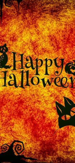 Happy Halloween Night Cats Owl Spider Pumpkin