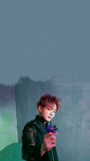 Cartoon Wallpaper Bts Jungkook