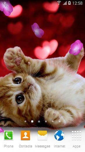 Free download Live Wallpaper Hd Animal Cute Kitten Live Wallpaper