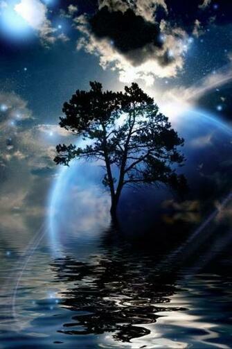 Beautiful Nature iPhone HD Wallpaper