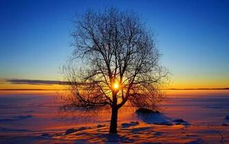 Pics Photos Winter Sun Wallpaper