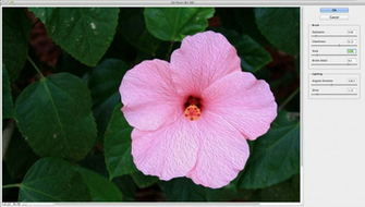 Smscs Photo Rotate Html
