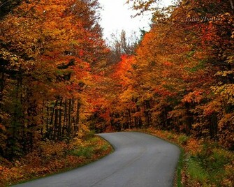 Autumn Path Wallpaper