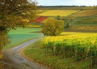 French Countryside Photos