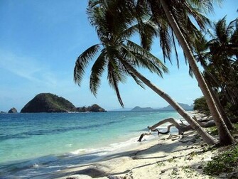 Background For Desktop Nature Wallpaper