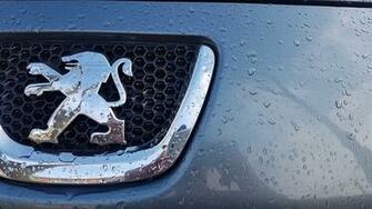 Photo Peugeot Logo Design Decoration Wallpaper Abstract Max