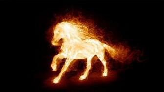 Fire Horse Wallpaper