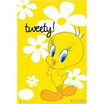 Looney Tunes Tweety Pictures To Like Or Share On