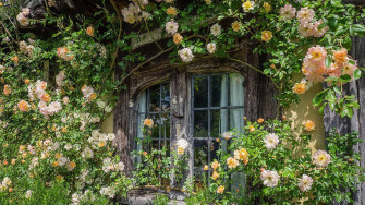 Aesthetic Cottagecore White Flowers Wallpaper